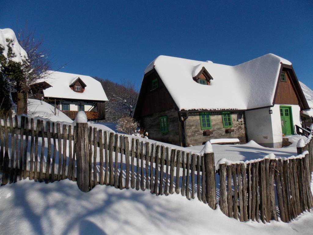 Country house Etno kuća pod Okićem Samobor Exteriér fotografie
