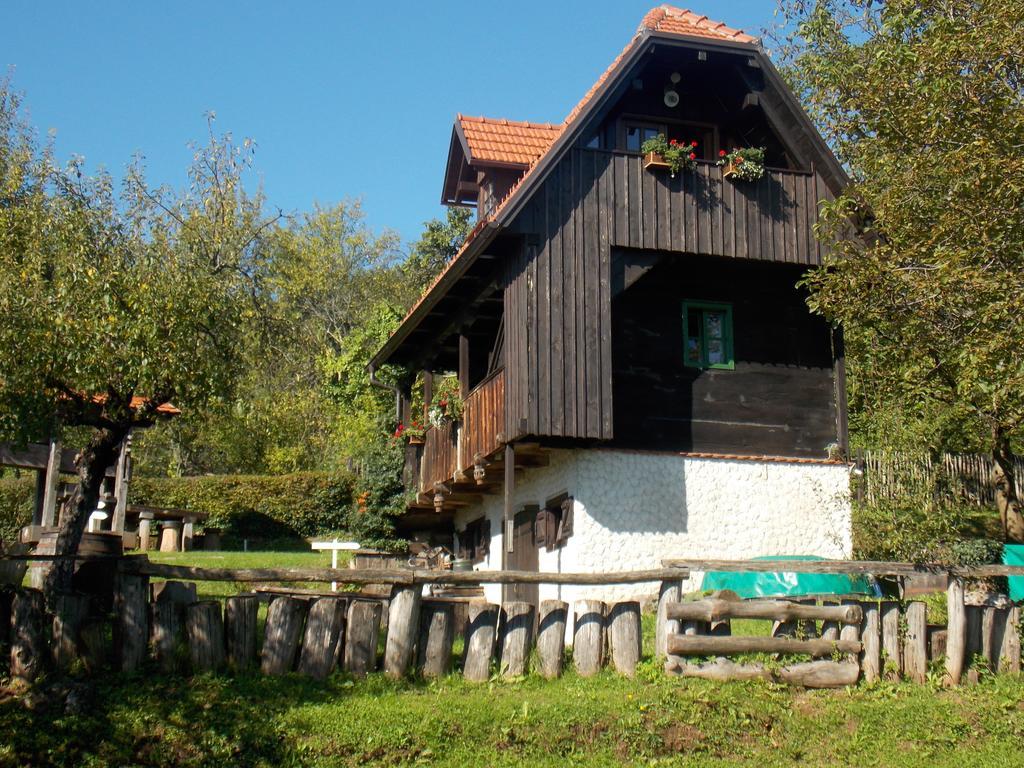 Country house Etno kuća pod Okićem Samobor Pokoj fotografie